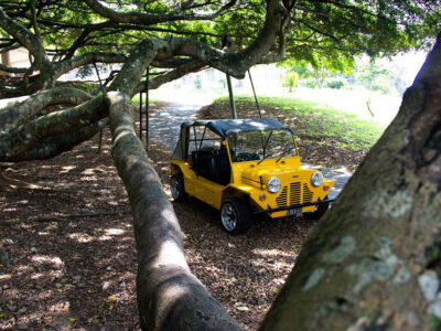 elephant-stables-classic-car-04