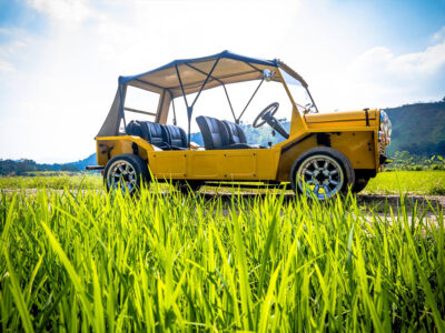 elephant-stables-classic-car-07
